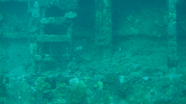 #380 : Explorer l’épave du MV Khudi Maa aux Maldives