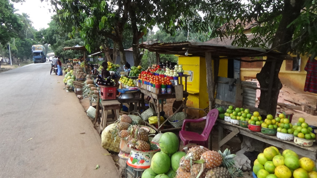 #340 : Faire ses courses sur le marché de Kindia en Guinée
