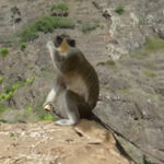 Santo Antao