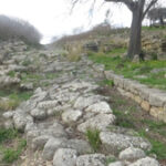 Morgantina
