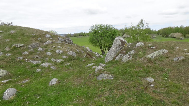 #926 : Visiter Birka et Hovgården, la première ville viking de Suède