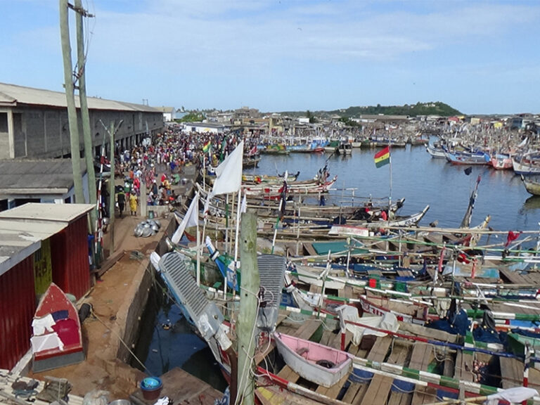 #1008 : Découvrir le cœur d’Elmina, le royaume du Sel et du Poisson